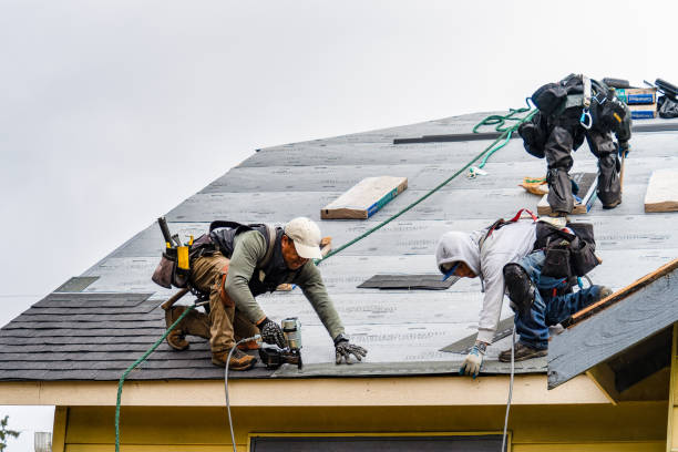 Professional Roofing technician working in Reedsville, WI